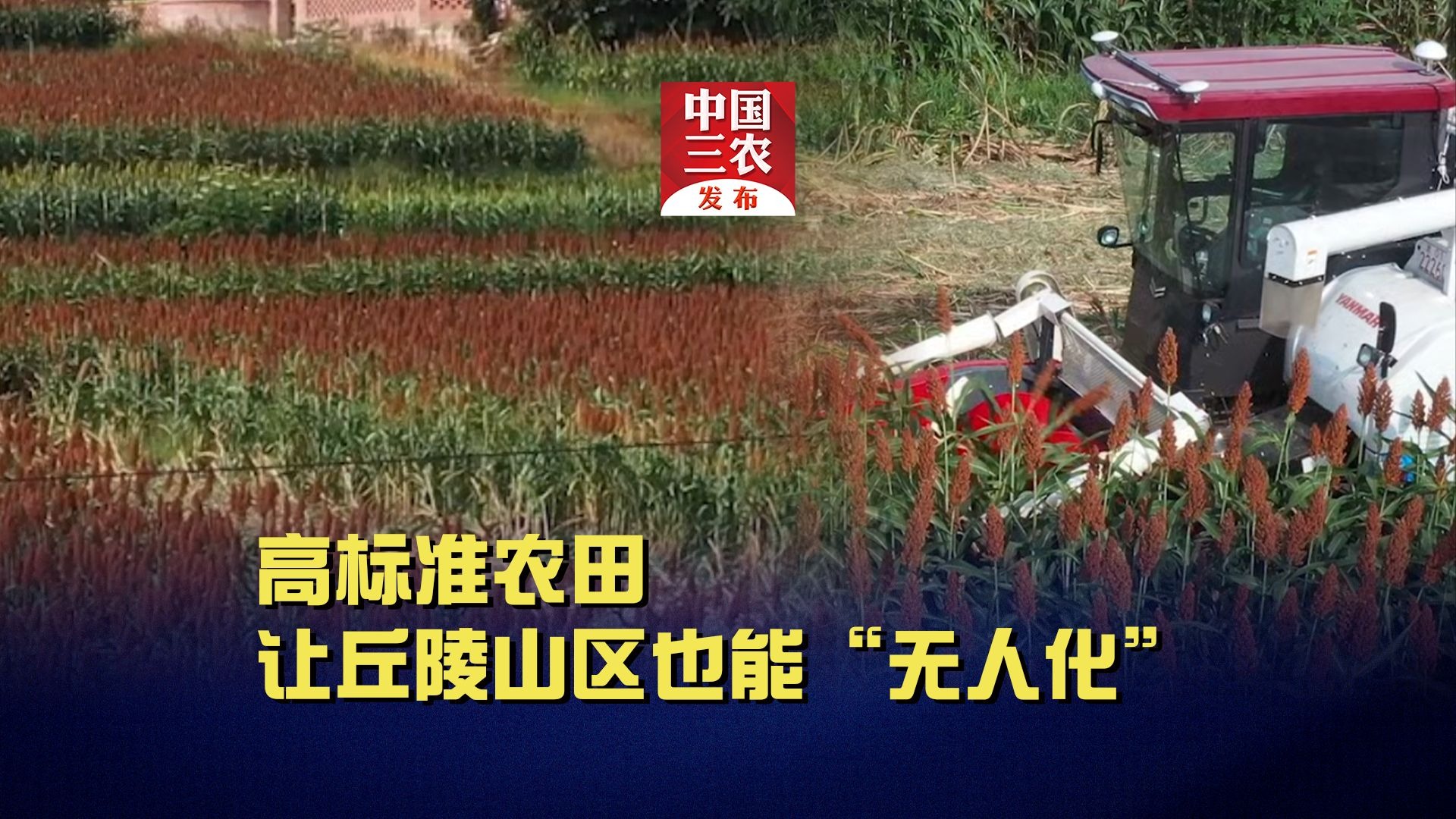 高标准农田让丘陵山区也能“无人化” 高标准农田让丘陵山区也能“无人化”