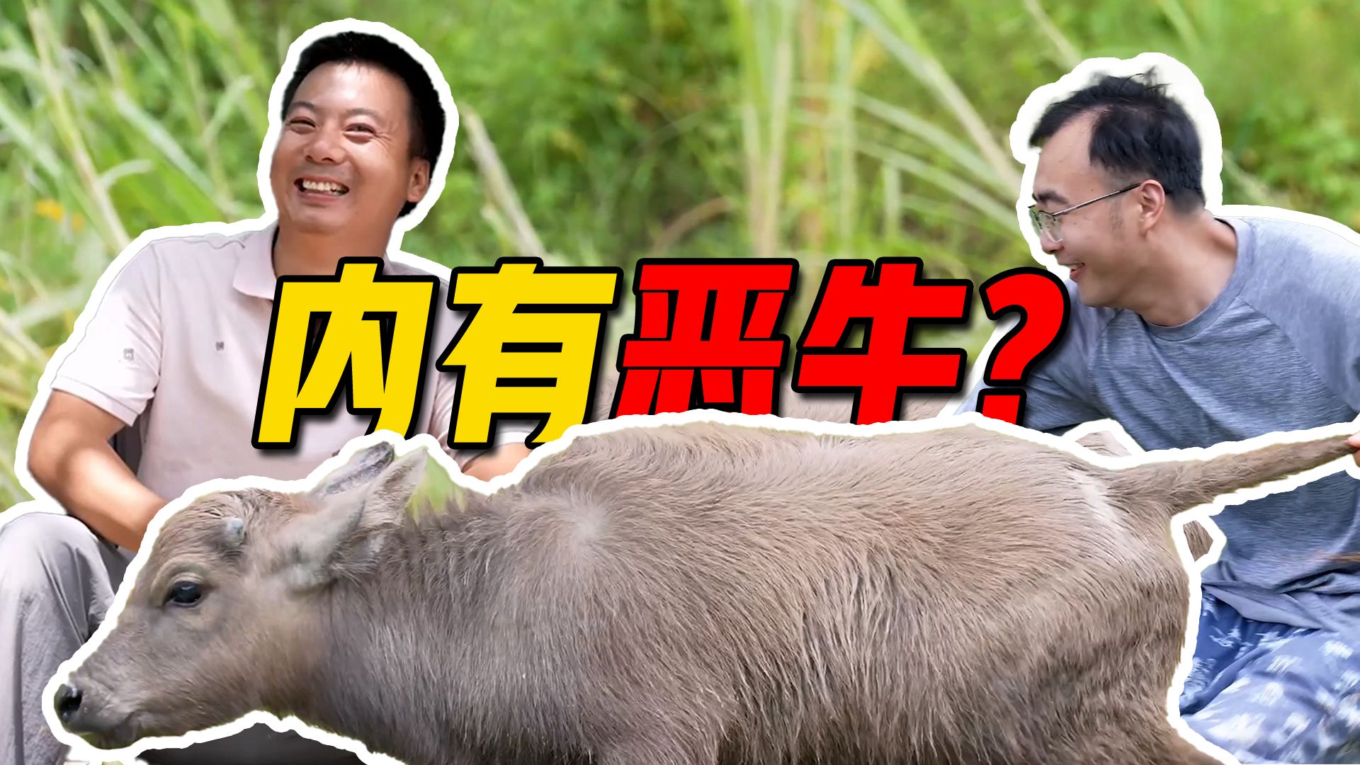 新华农兄弟：大热天的，让我看看，谁中暑了