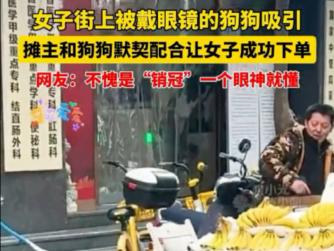 销冠狗狗