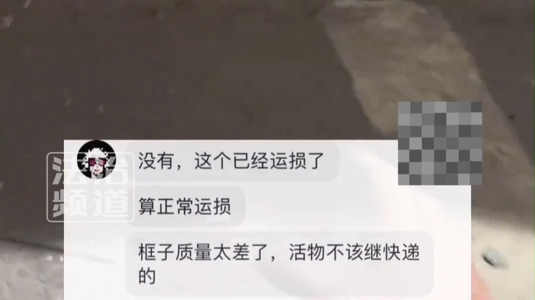 男子称到快递转运中心 发现现场散落上百只小鸡“算正常运损，