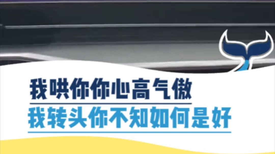我哄你你心高气傲，我转头你不知如何是好