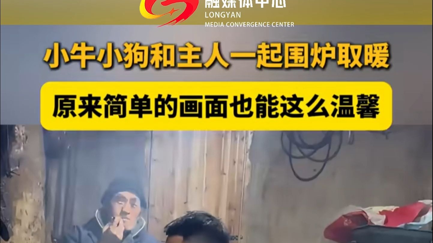 小牛小狗和主人一起围炉取暖，原来简单的画面也能这么温馨。