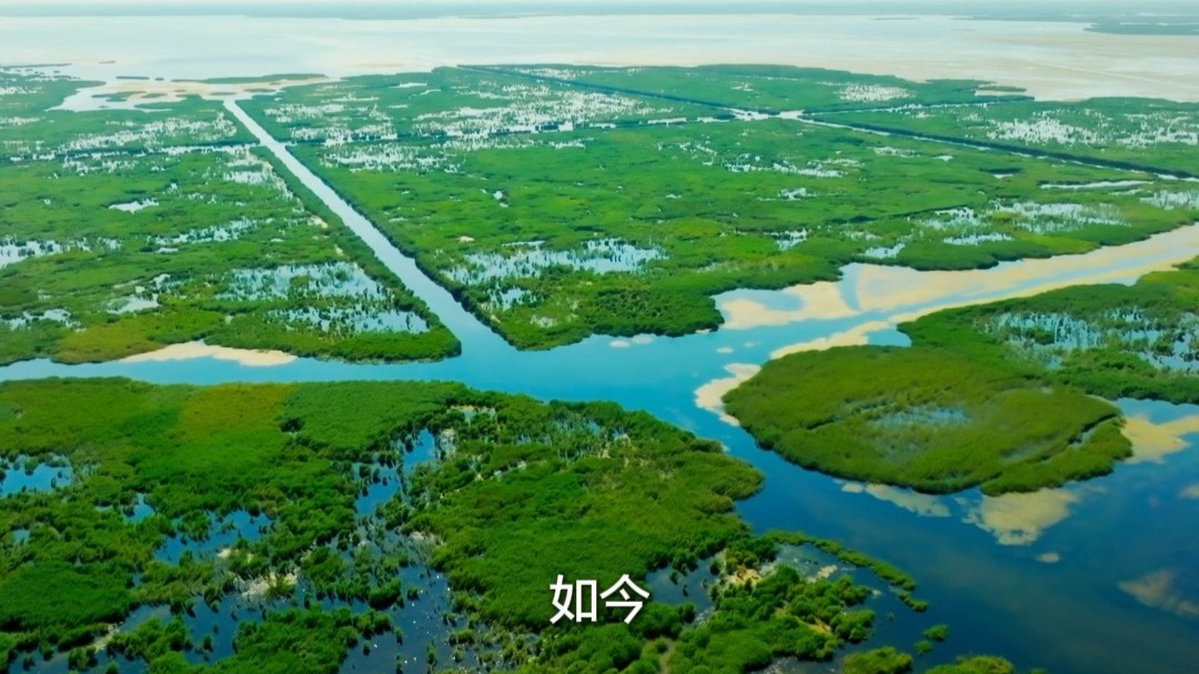 乌梁素海有了大变化