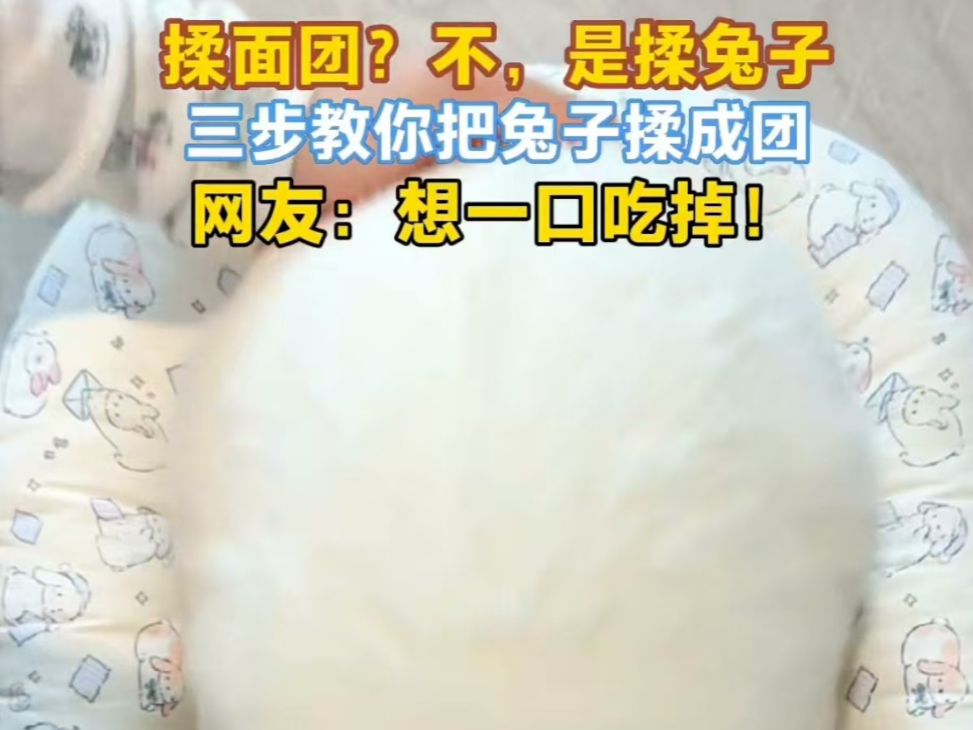 揉面团？不，是揉兔子 三步教你把兔子揉成团 网友：想一口吃掉！来源