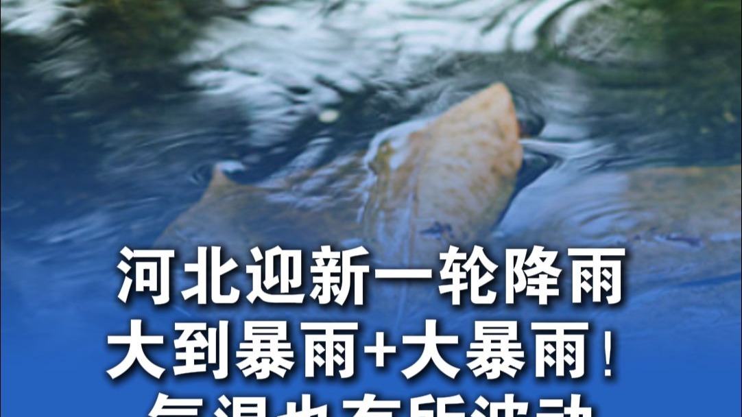 河北迎新一轮降雨，大到暴雨+大暴雨！气温也有所波动