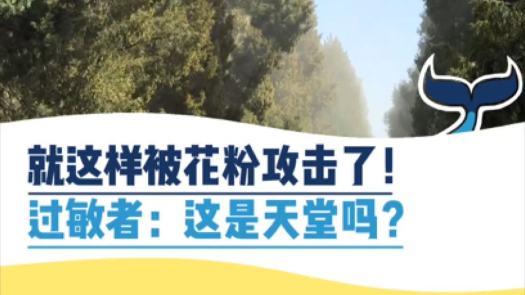 过敏者：这就是通往天堂的路吗？