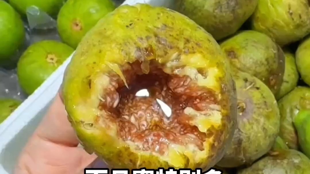 8月17日，山东威海。威海青皮无花果：长得越磕碜，甜得越嚣张！