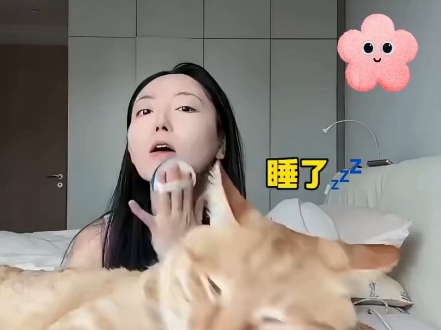 化妆太猛竟自打耳光？猫猫急坏啦