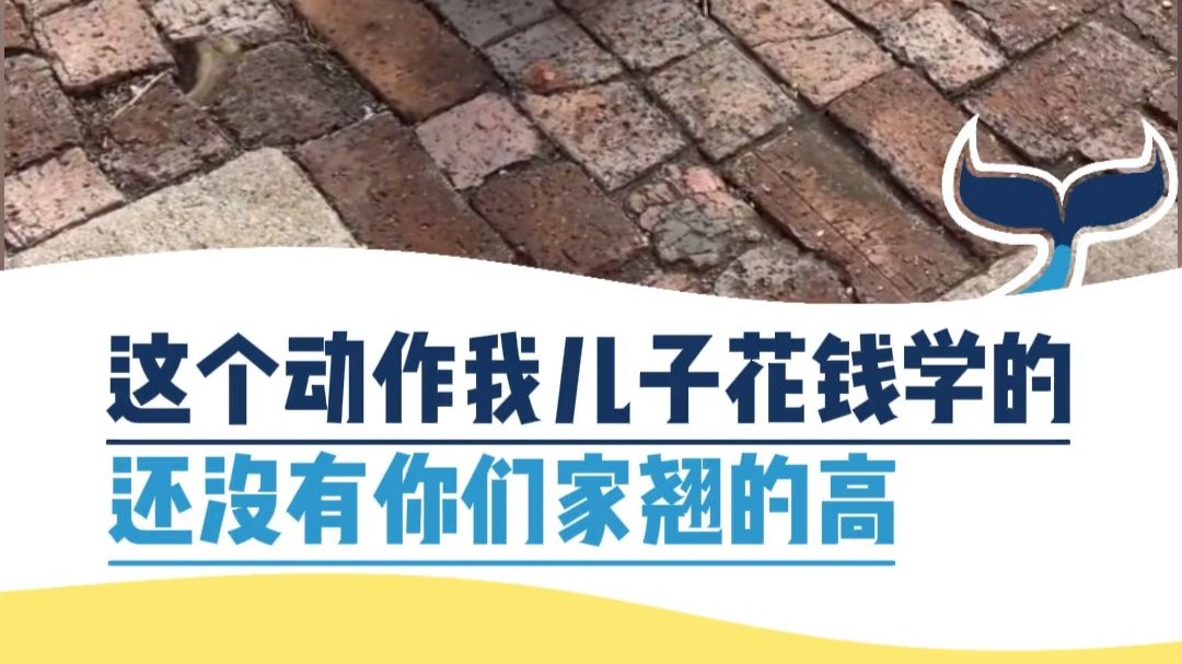 这个动作我儿子花钱学的，还没有你们家翘的高