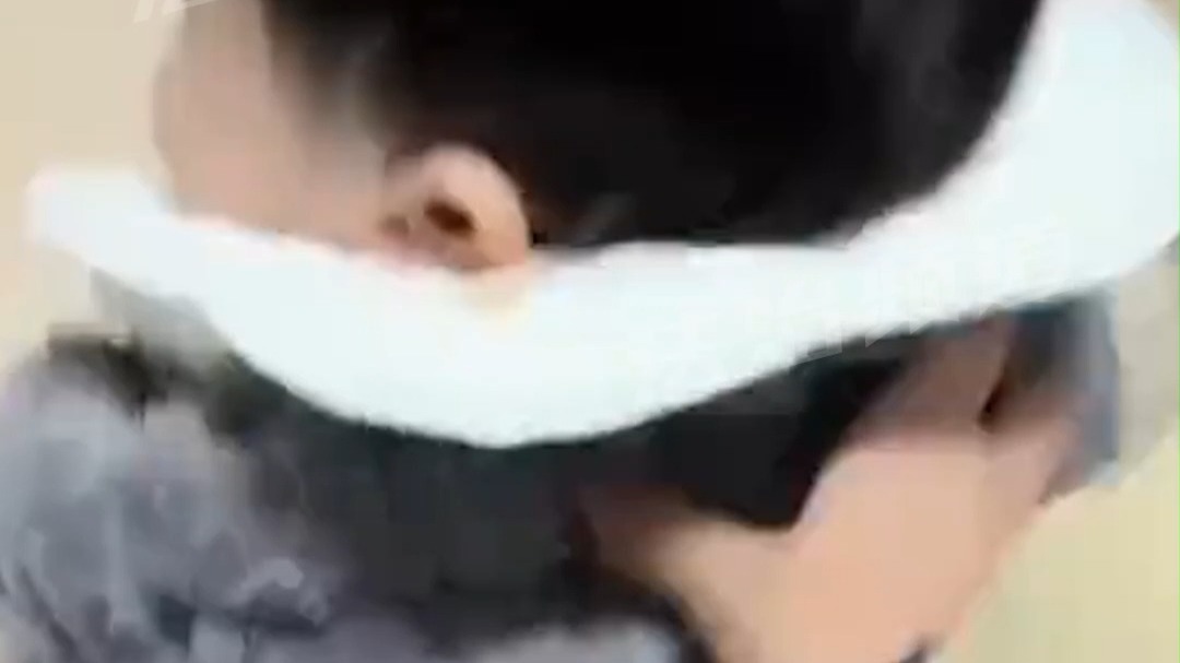 宝宝又和狗狗抢窝了，狗狗找主人告状，急得都快会说话了