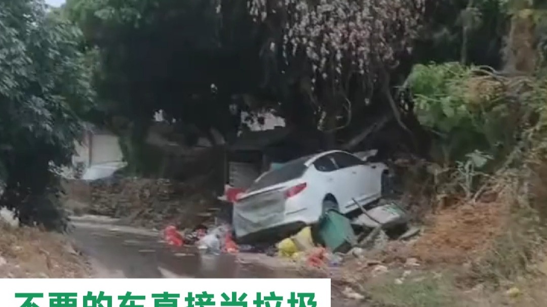 不要的车  直接当垃圾扔在垃圾箱旁……