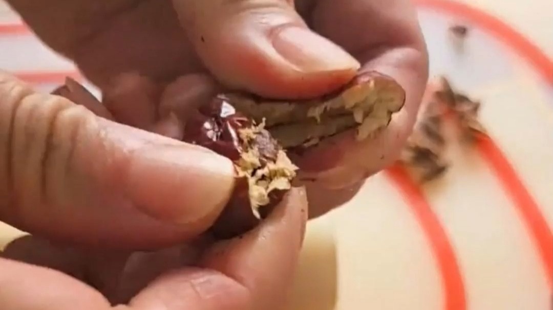 擀面杖竟然能干干净净去枣核