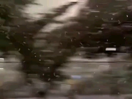 武汉这场“樱花雪”太美了！网友：隔着屏幕也被美到窒息！