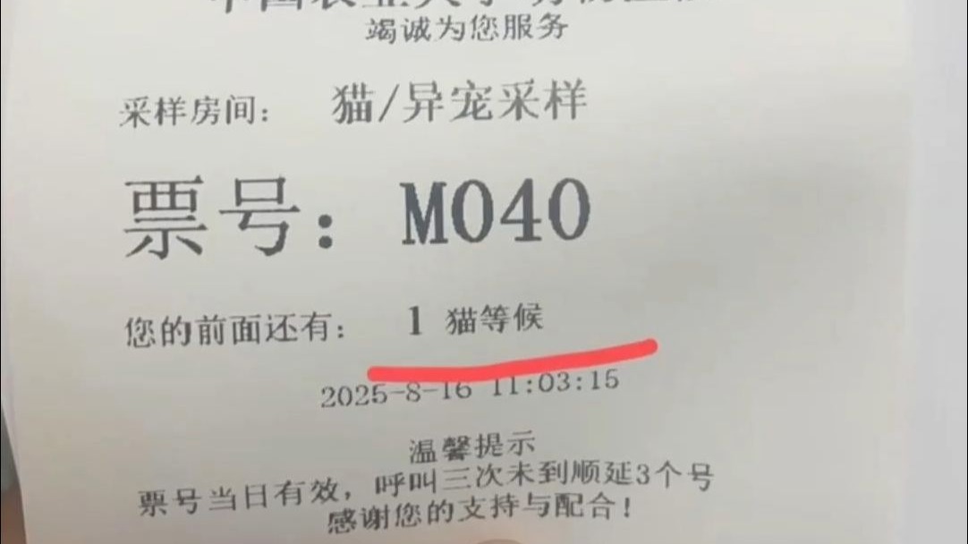 动物医院已经发展成这样了吗？
