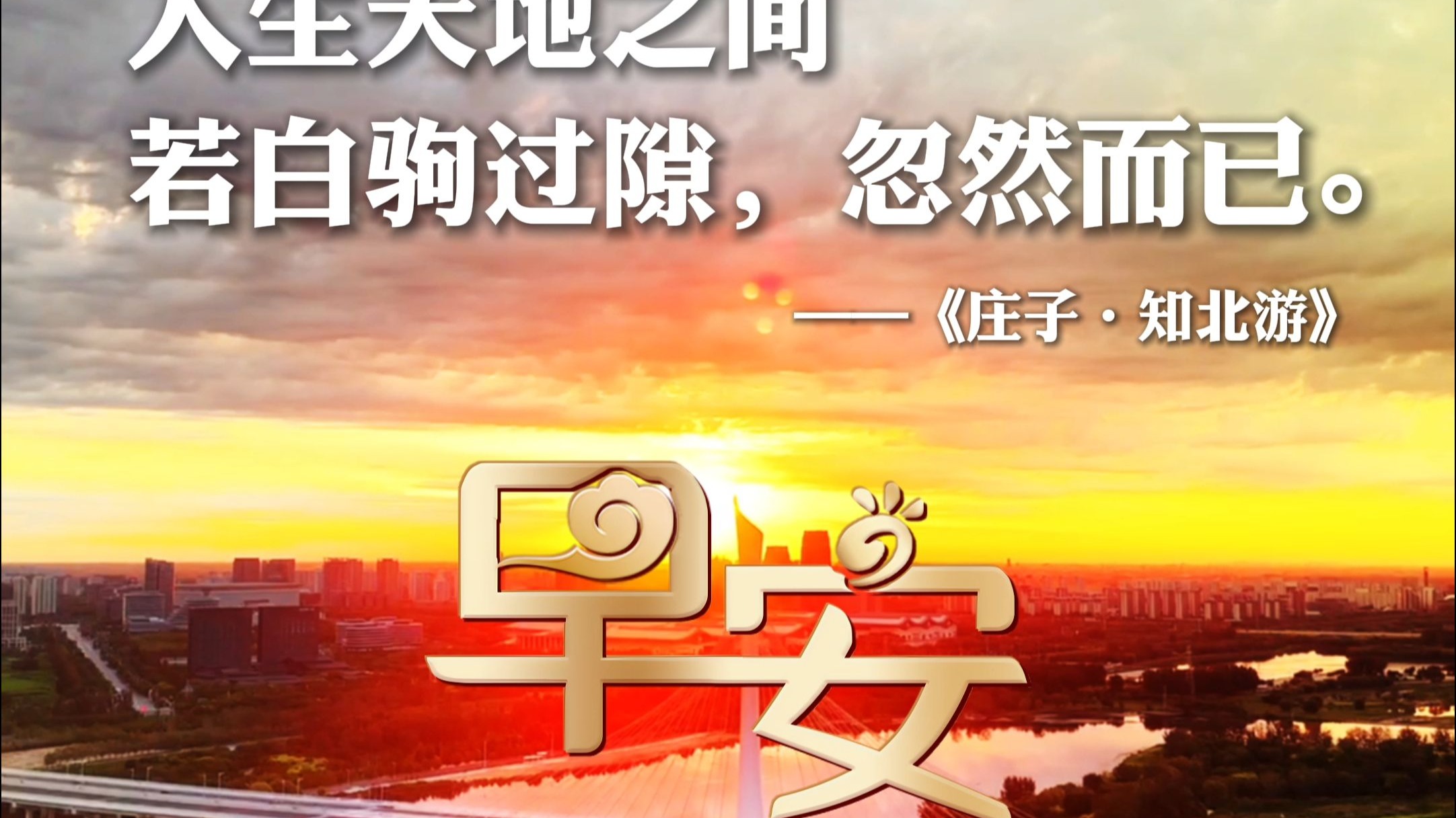 8月22日，星期五 人生天地之间 若白驹过隙，忽然而已 ——《庄子