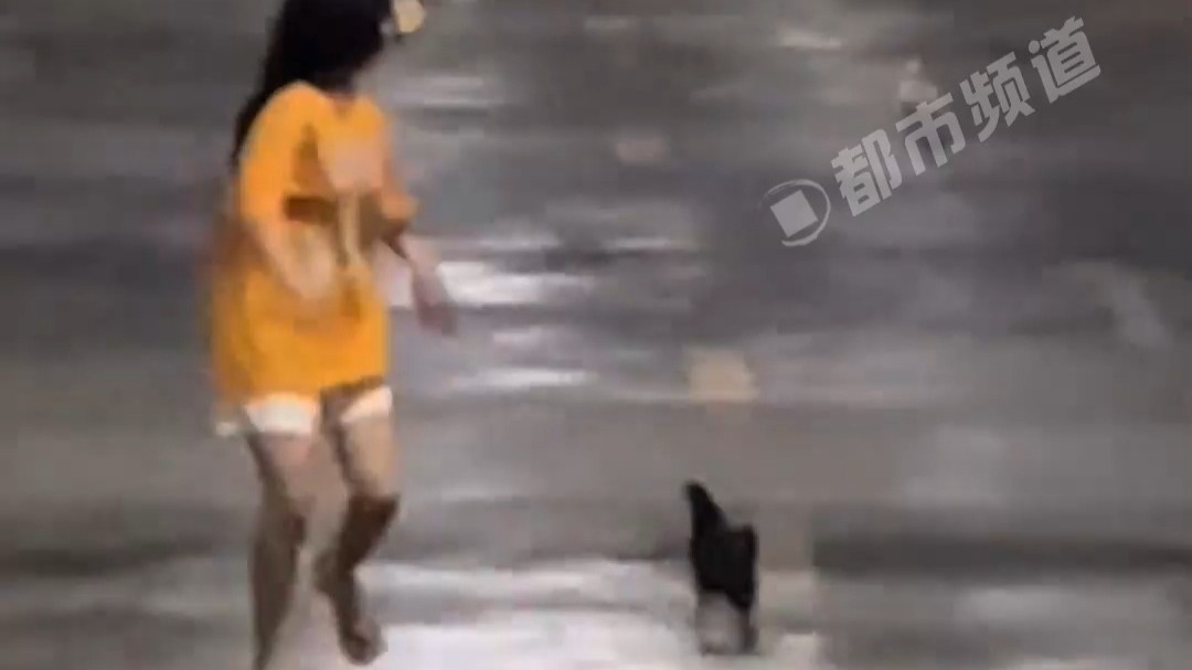 鸡鸭人赛跑 现场实况 网友：我举报！人耍赖！