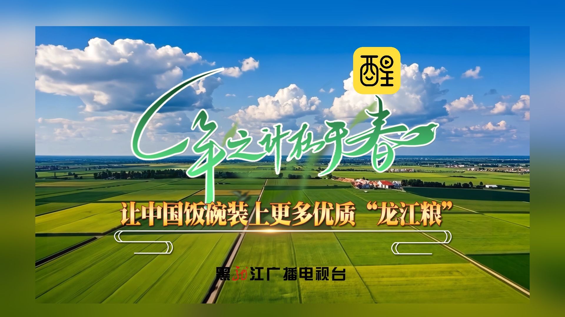 一年之际在于春丨让中国饭碗装上更多优质“龙江粮”#向新而