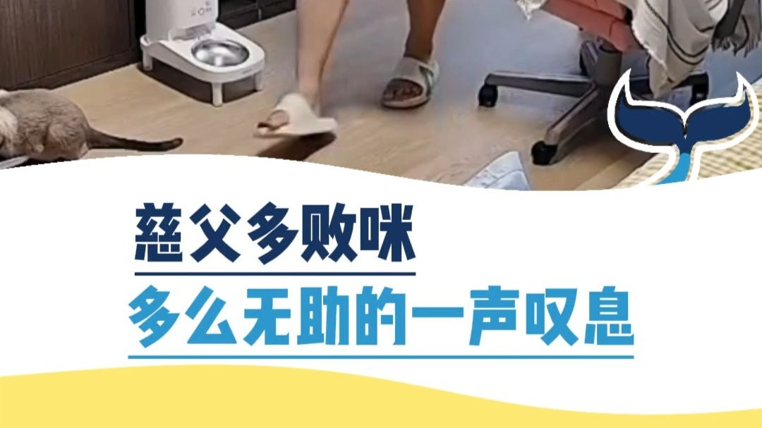 慈父多败咪，多么无助的一声叹息