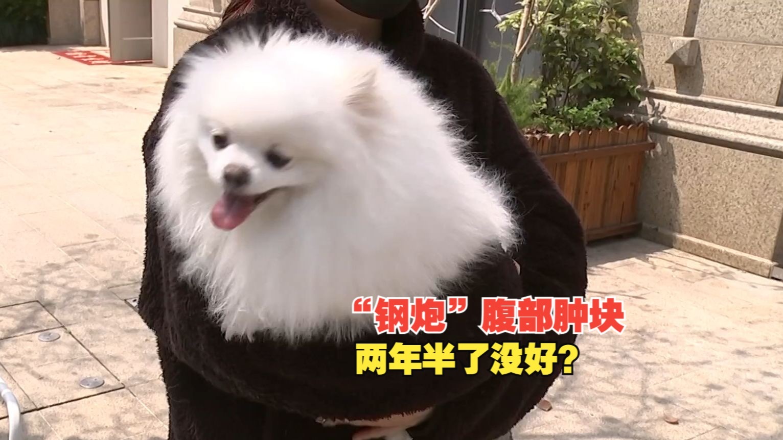 【1818黄金眼】“钢炮”腹部肿块，两年半了没好？
