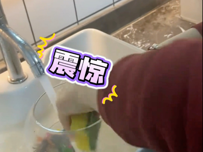 第一次见这么养鱼的 还能活几个月 网友：这不就是“物竞天择 