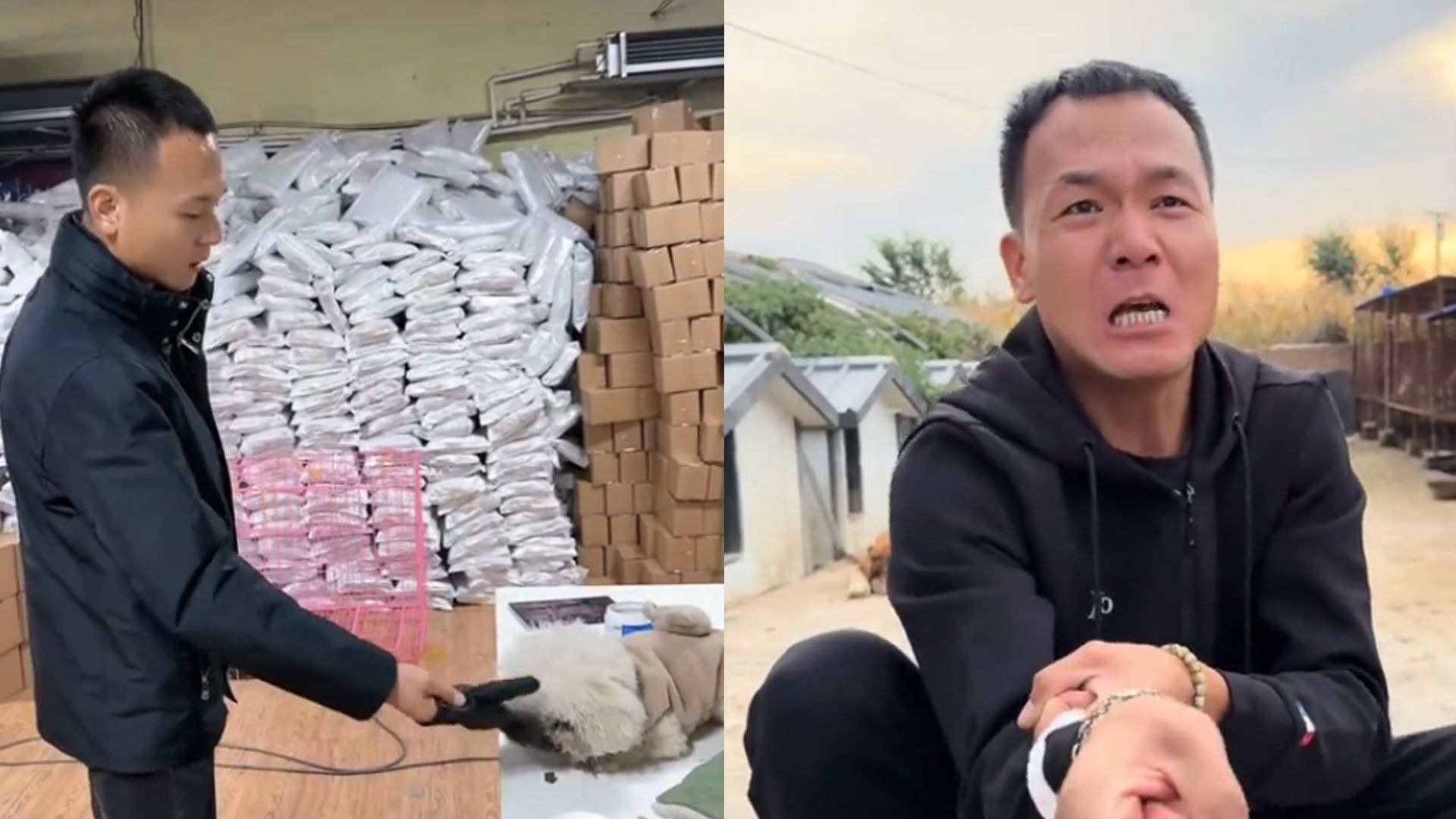 千万粉丝训犬师网红潘宏账号内容被一夜清空，园区所在地官方：正