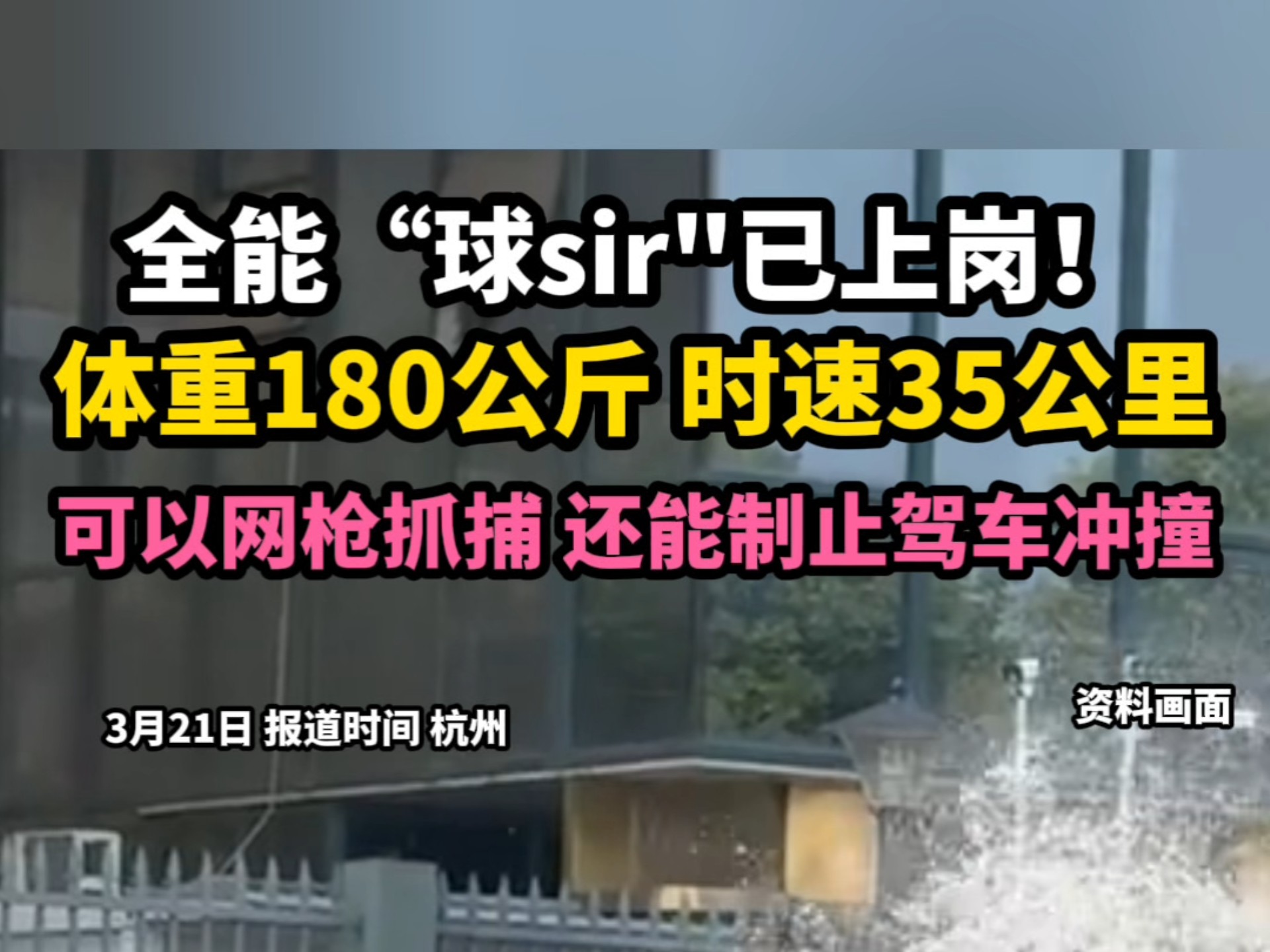 全能“球sir"已上岗！体重180公斤 时速35公里可以网枪抓捕 还