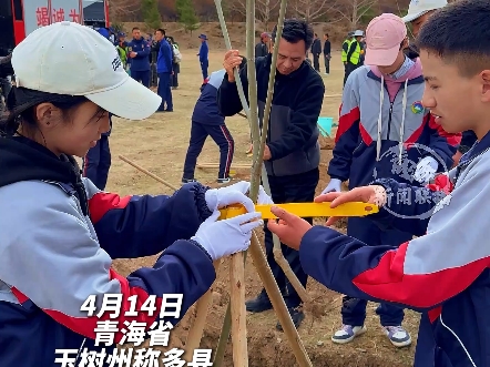 全民义务植树 生态保护需要每个人从身边做起