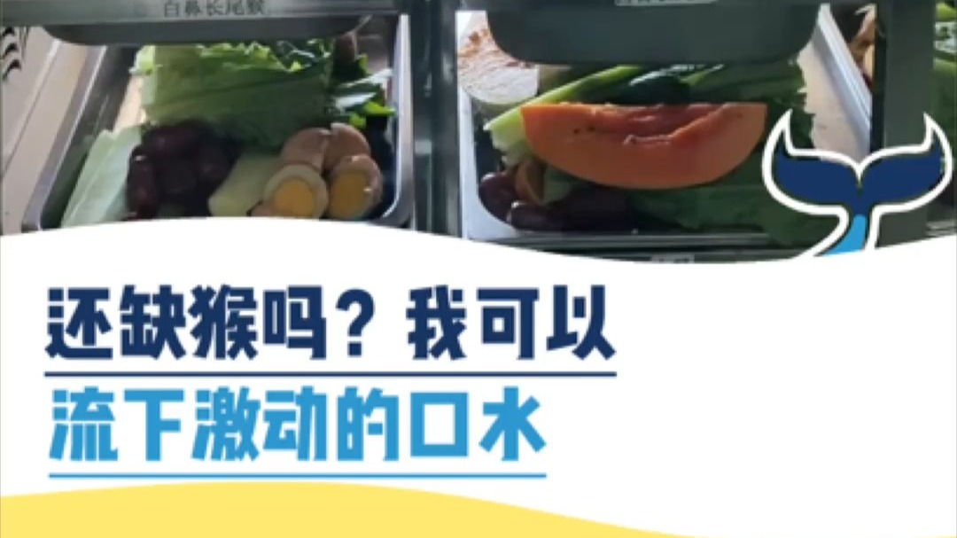 还缺猴妈？我可以！流下激动的口水