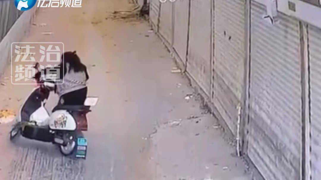 女子疑似不会开电动车 直接把别人家的卷帘门撞了