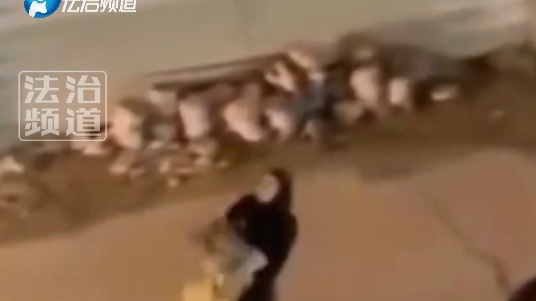 国外男子抱着一只狮子 网友：这都敢抱胆子真大