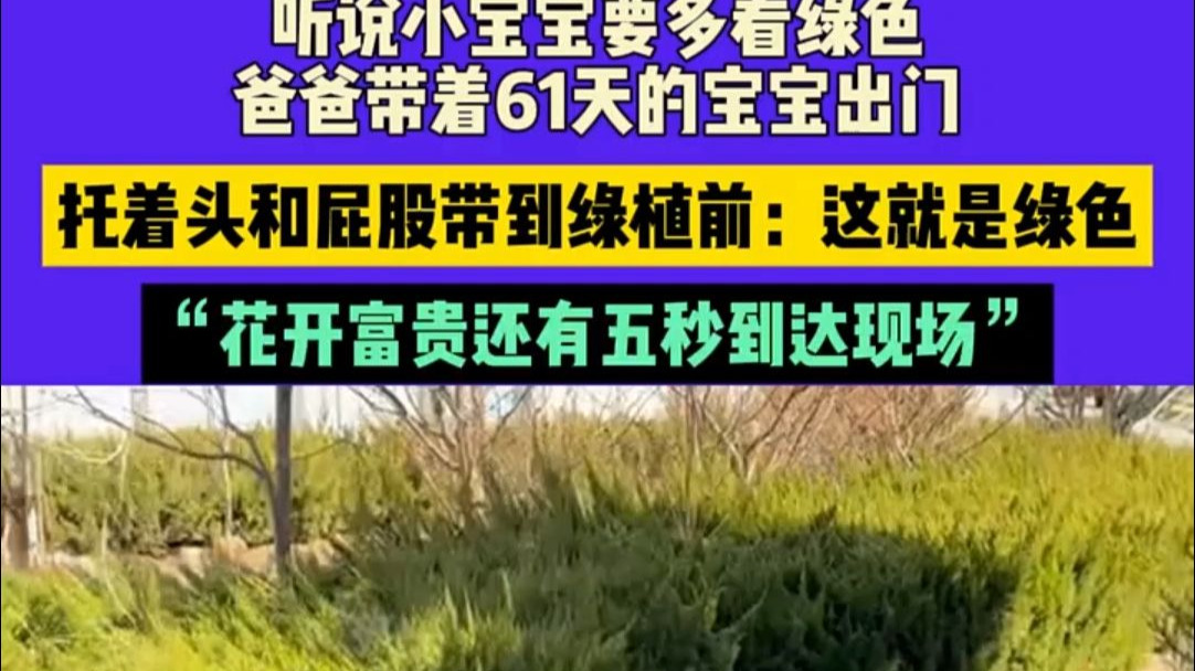 2月25日（发布），山东，听说小宝宝要多看绿色，爸爸带着61天的宝宝出