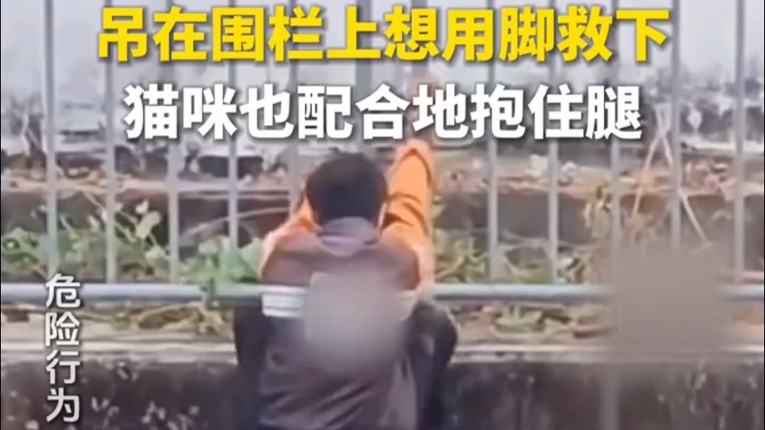 国外小哥发现落水的猫咪，吊在围栏上想用脚救下猫咪，猫咪也配合