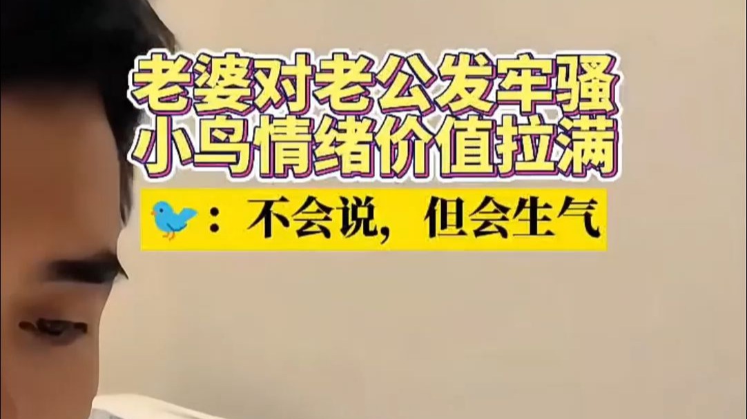 鹦鹉：人家只会心疼爸爸