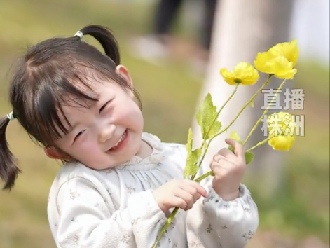 拍樱花不用去武大，株洲人专属的樱花大道，你打卡了吗？