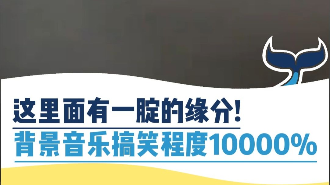 这里面有一腚的缘分，背景音乐搞笑程度10000000%