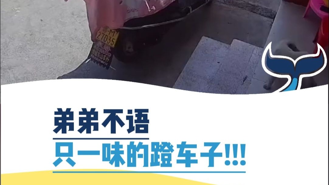 脚太短下不来车 哭哭啼啼蹬了一个多小时