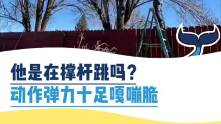 他是在撑杆跳吗？动作弹力十足嘎嘣脆