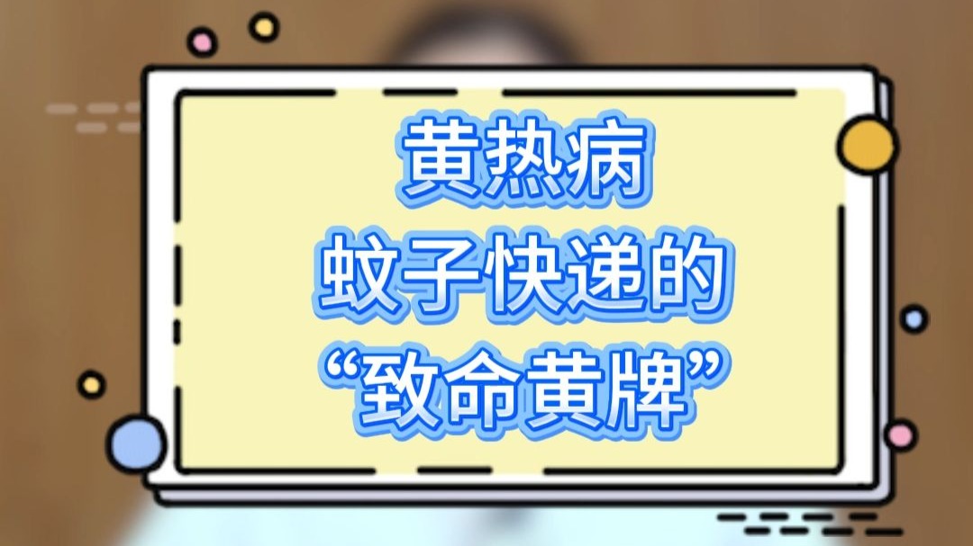 黄热病蚊子快递的“致命黄牌”