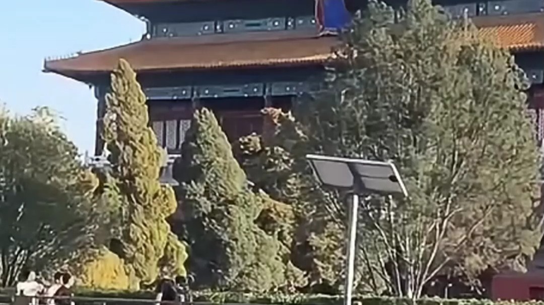 据说最近北京大街上都是格格？