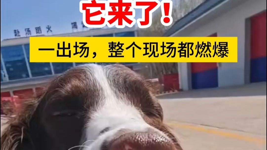 它来了！一出场，整个现场都燃爆