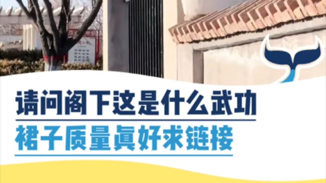 请问阁下是什么武功，裙子质量真好求链接