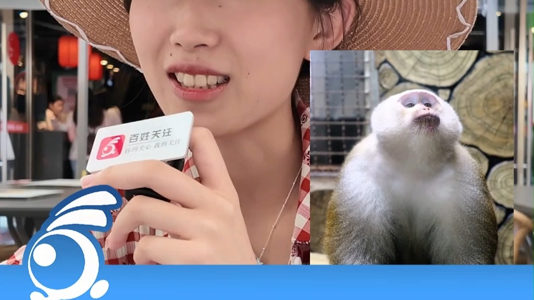 全国避暑大军已登陆贵州！可以玩的地方实在是太多了……游客：没