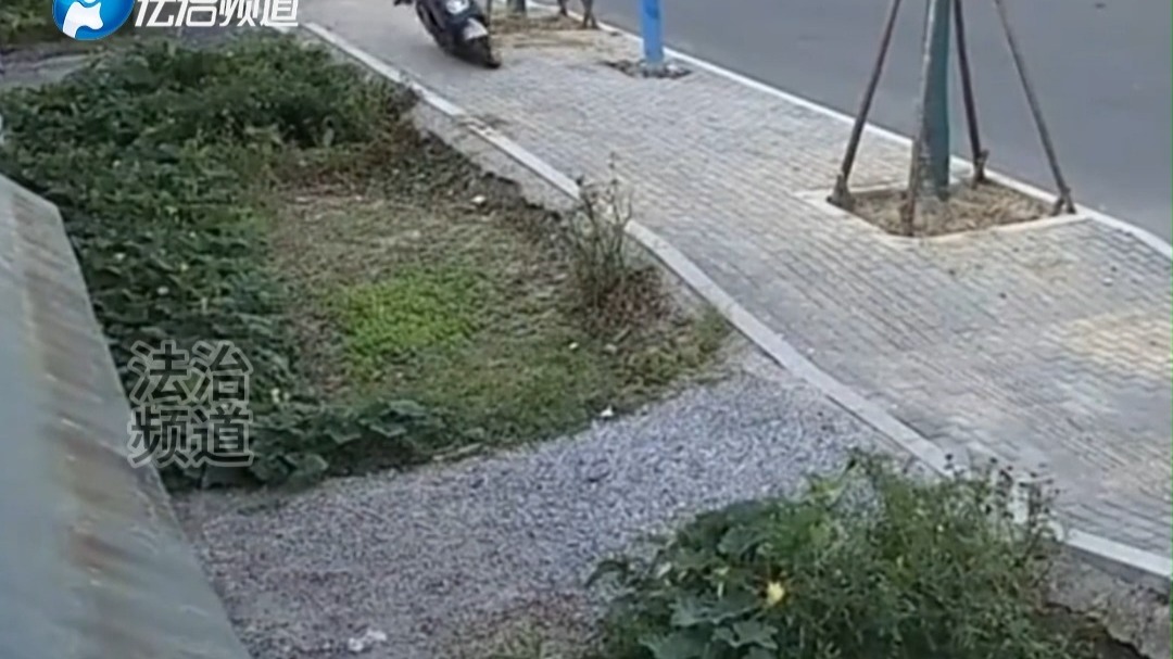 小伙骑电动车因速度过快，导致失控撞向路边草地