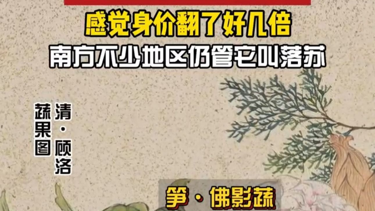这些蔬果花卉在古代的雅称都好美，感觉身价都翻了几倍#古代蔬