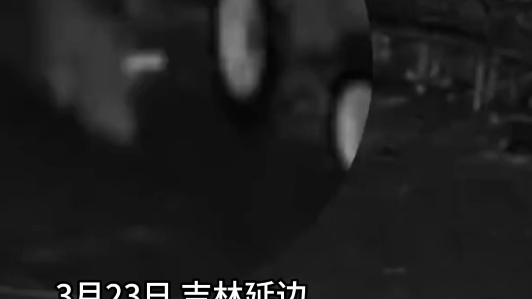 一老虎闯入村民院内咬死羊和狗，当地林业部门回应。