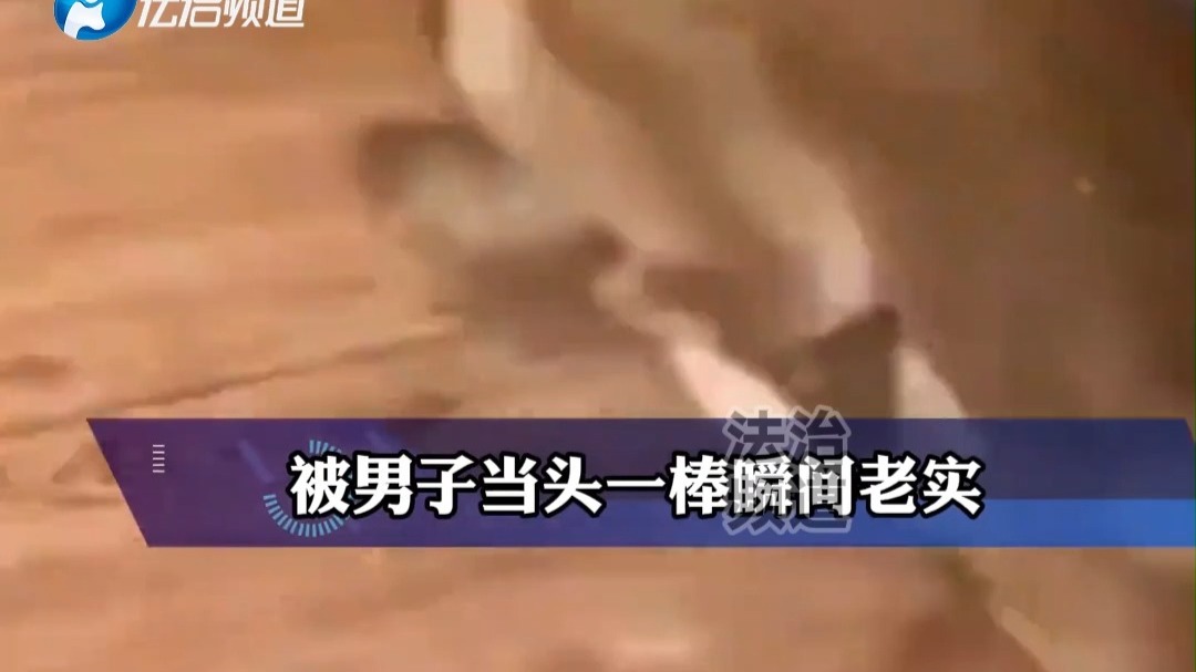 狗子性格暴躁喜欢咬人 被男子当头一棒瞬间老实 网友：咬人的狗