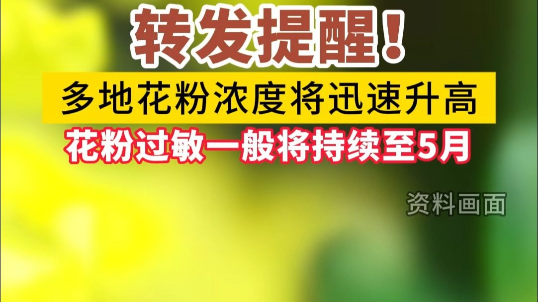 转发提醒！多地花粉浓度将迅速升高。