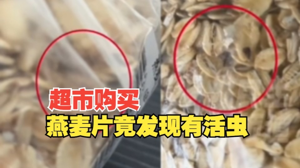超市购买燕麦片竟发现有活虫，女子：超市说因为天热，让我回家淘一