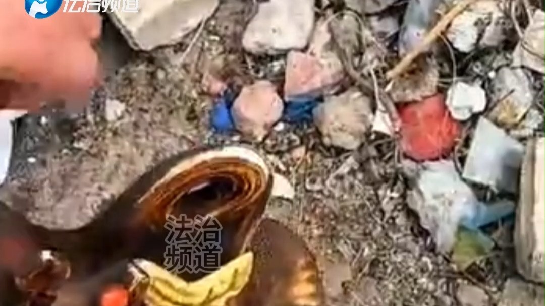 男子偶遇掉在垃圾桶旁边的财神  男子偶遇掉在垃圾桶旁边的财