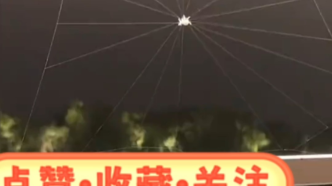 妈妈和孩子偶遇蜘蛛结网 开始蜘蛛织的很密 最后逐渐失去耐心